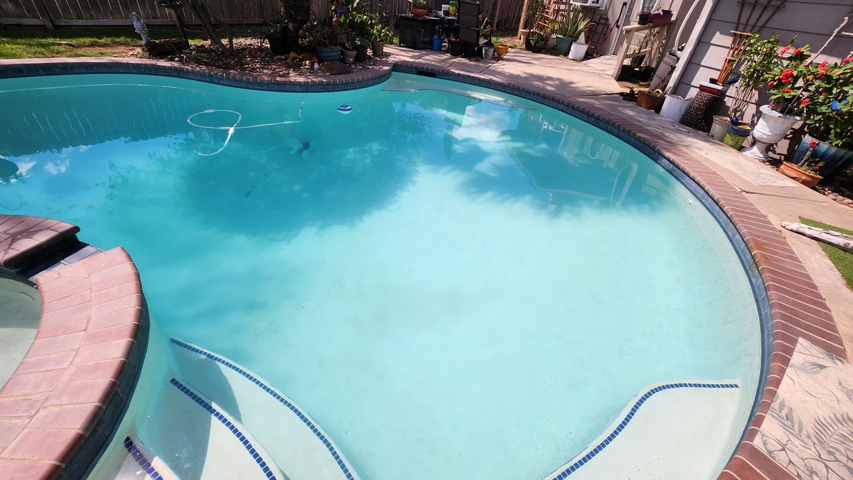 Shell shaped pool in Houston